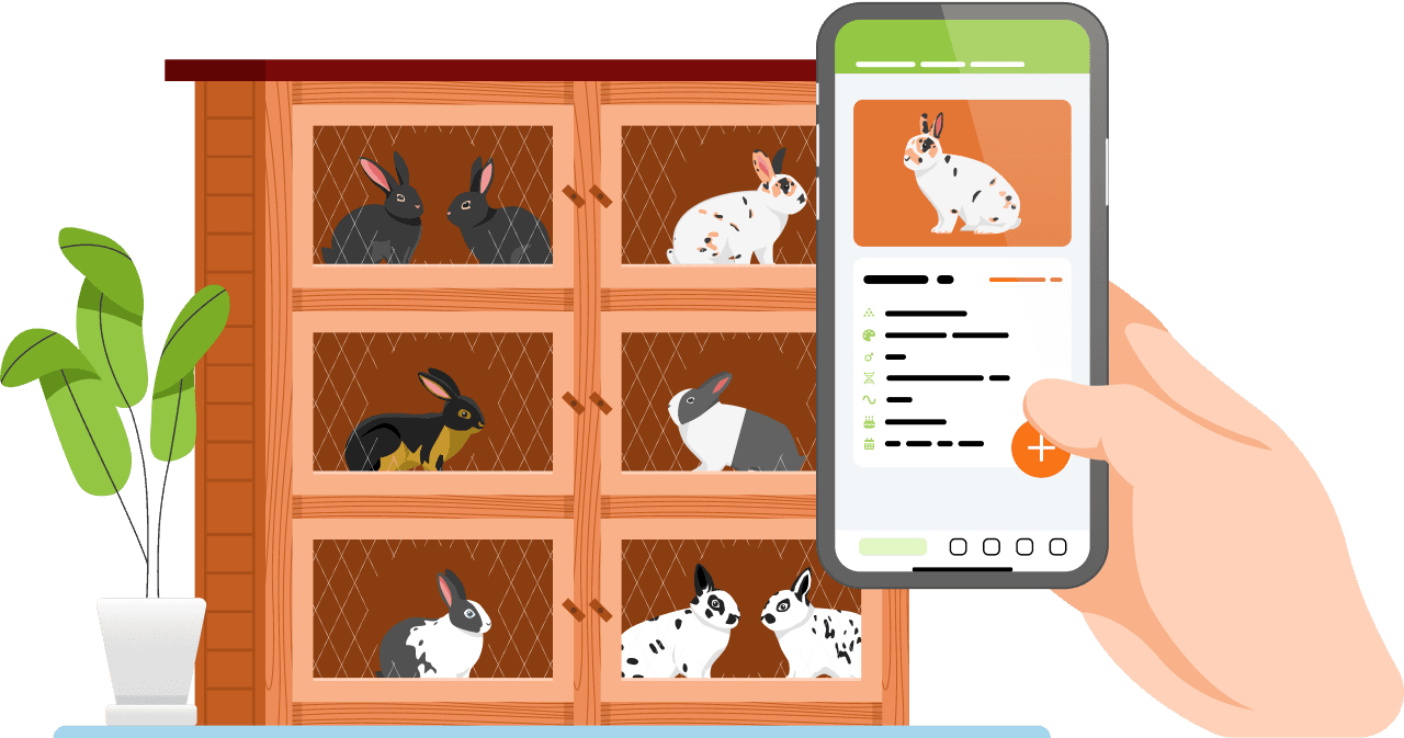 RabbitCloud App