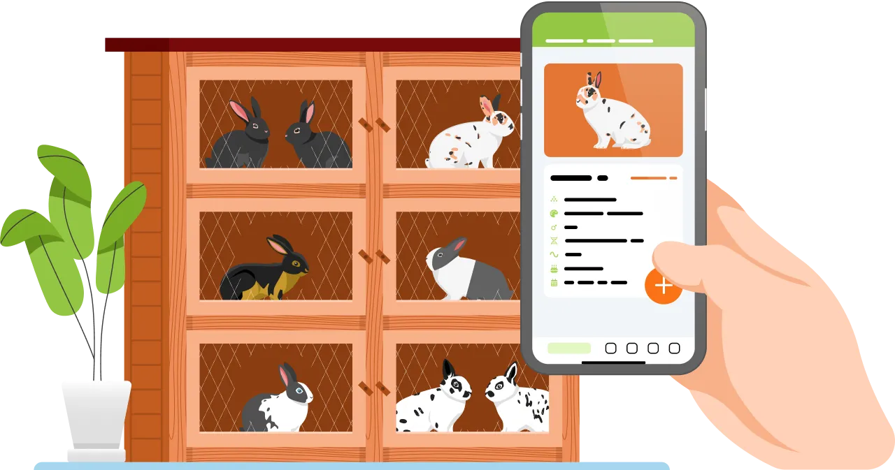 RabbitCloud App